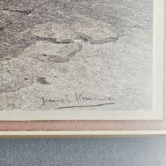 Daniel Hernandez 'Mes Colombes' Pro Framed Print 14"x11" Wall Art Home Decor - Picture 3 of 8